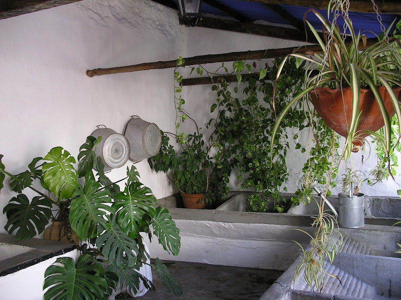 Ediciones depapel: mayo 2010